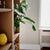 ROOM IN A BOX - Modulares Regal 5x2 ohne Erweiterungen